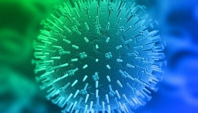 Routes of infection of the human papillomavirus