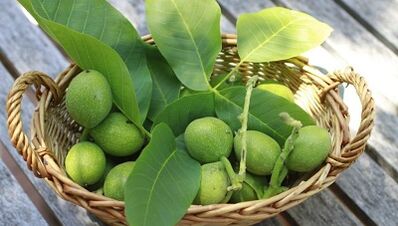 Walnuts for removing papillomas